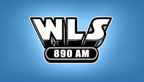 WLS Logo
